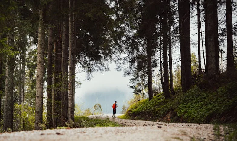 Los Caminos No Recorridos: Reflexiones sobre Viajes No Realizados y Arrepentimientos Parentales