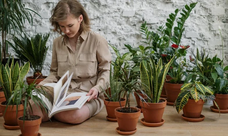 La búsqueda del jardín interior perfecto: Lecciones de botánicos aficionados